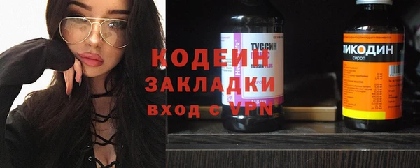 твердый Новодвинск