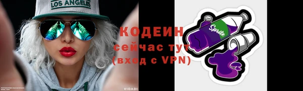 шишки Новозыбков