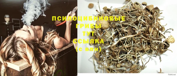 прущая мука Абаза