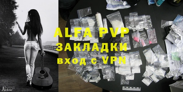 твердый Новодвинск