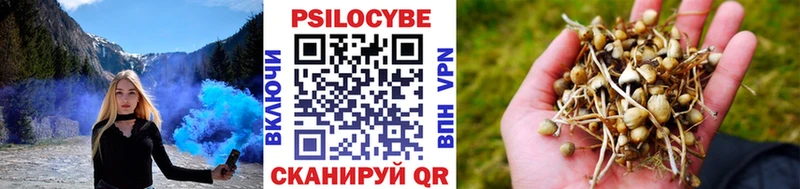 наркотики  Питкяранта  Галлюциногенные грибы мицелий 